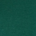 True Religion T-Shirt Terry Applique Evergreen