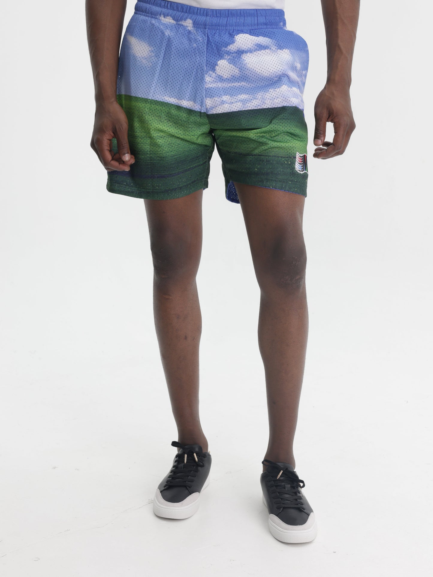 Market Shorts Bliss Mesh Clouds Green-Blue