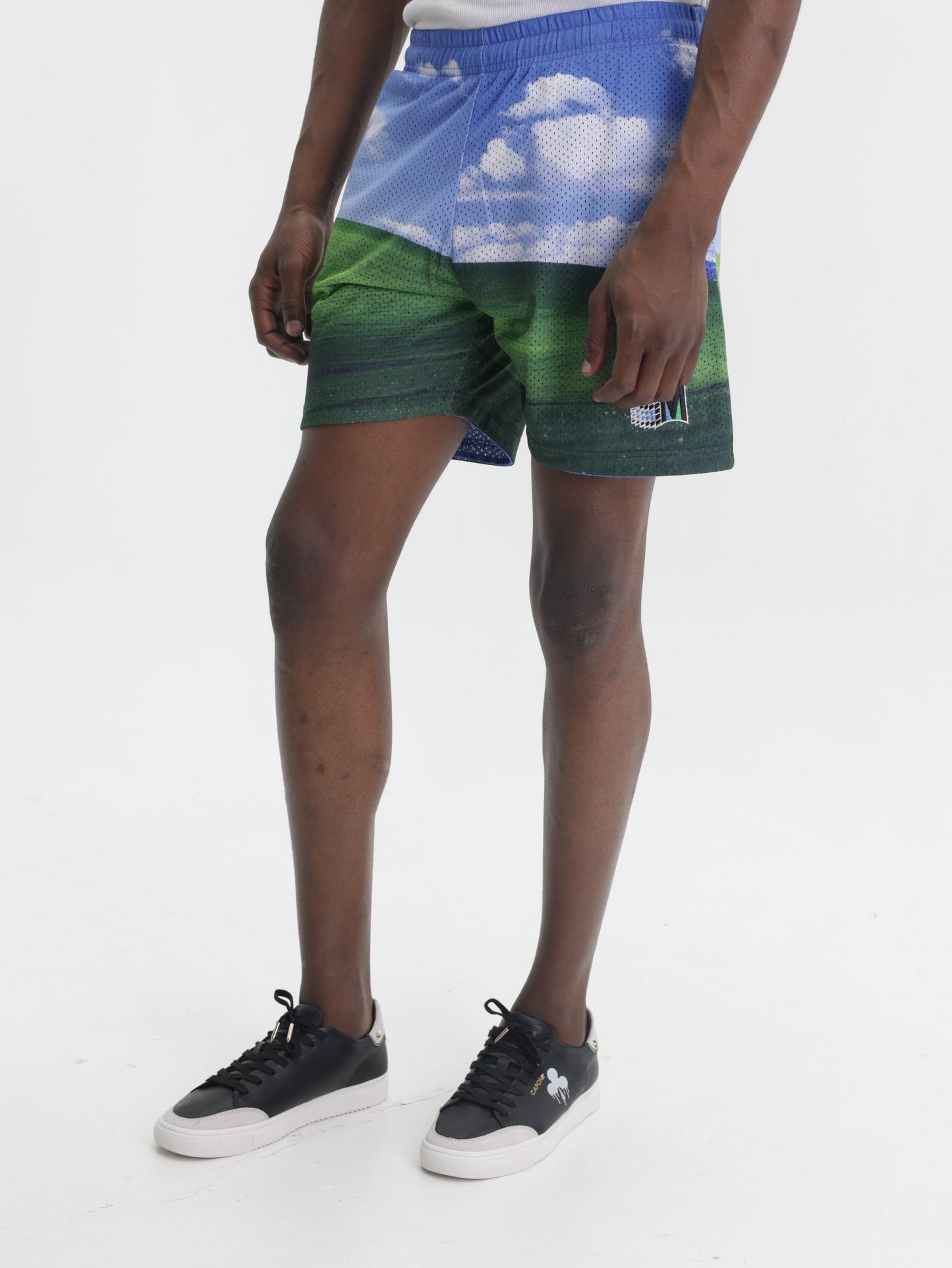 Market Shorts Bliss Mesh Clouds Green-Blue