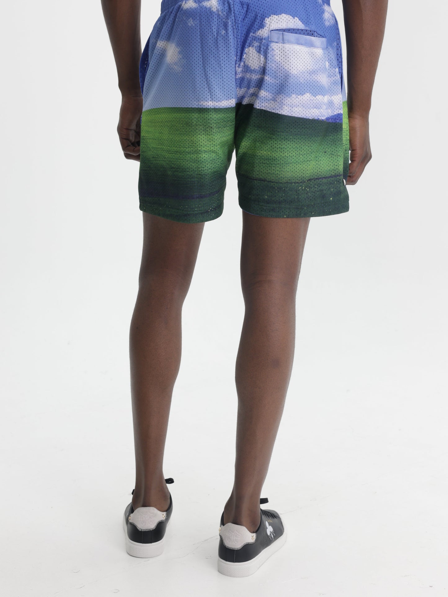 Market Shorts Bliss Mesh Clouds Green-Blue